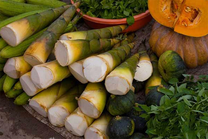 Măng đắng in Dien Bien bitter baby bamboo